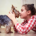 The Long-Term Effects of Pet Dander: What You Need to Know