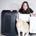 Do Air Purifiers Help with Pet Dander? - An Expert's Perspective