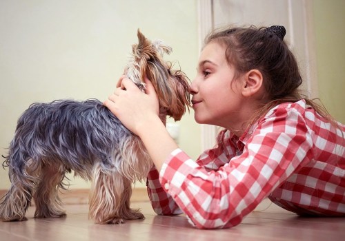 The Long-Term Effects of Pet Dander: What You Need to Know