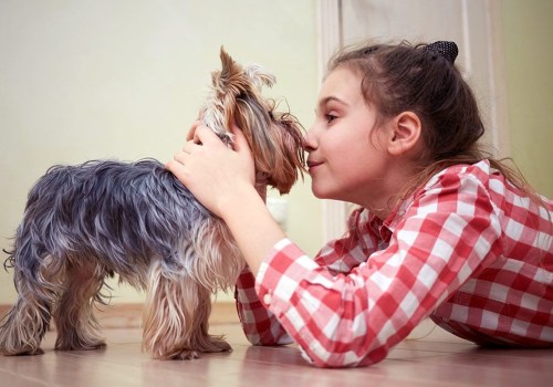 7 Proven Ways to Stop Pet Dander Allergy and Live Comfortably with Your Pet