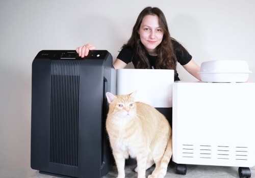 Do Air Purifiers Help with Pet Dander? - An Expert's Perspective